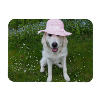 Der süßeste Hund der Welt Magnet