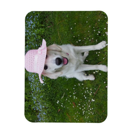 Der süßeste Hund der Welt Magnet (Vertikal)