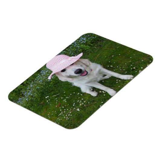 Der süßeste Hund der Welt Magnet (Linke Seite)