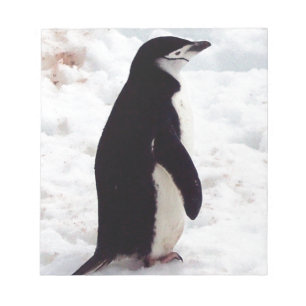 Der süßeste Pinguin überhaupt Notizblock