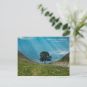 Der Sycamore-Baum Postkarte (Stehend Vorderseite)