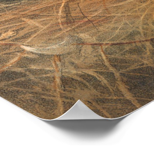 Der syrische Bär von Joseph Wolf Poster (Ecke)