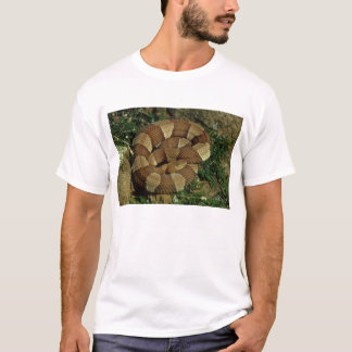 der T - Shirt der breit-mit einem Band versehenen
