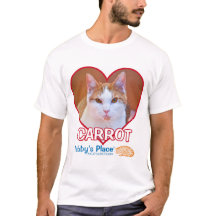 Der T - Shirt der Männer