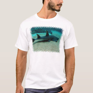Der T - Shirt der Sand-Haifisch-Männer