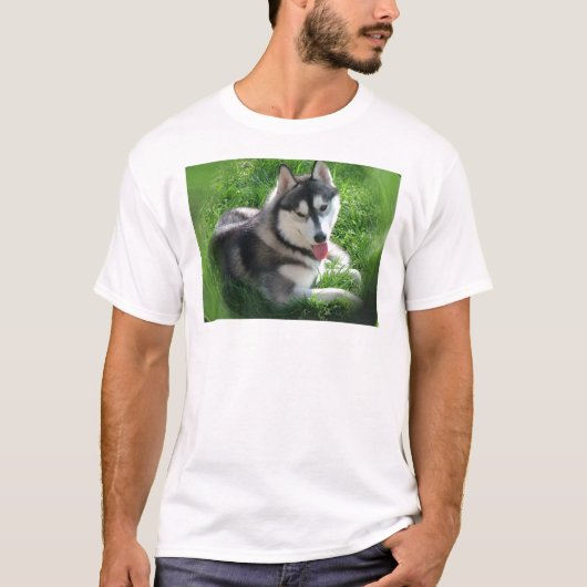 Der T - Shirt der sibirischer (Vorderseite)