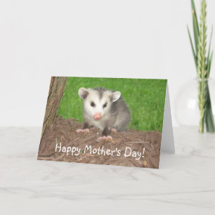 Der Tag der Baby-Opossum-Mutter Karte