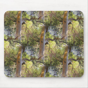 Der Tag der Bäume... Mousepad