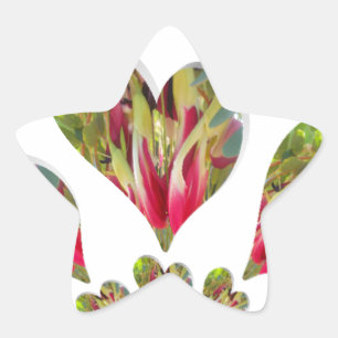 Der Tag der humanitären Hilfe ist ein schöner Tag Stern-Aufkleber