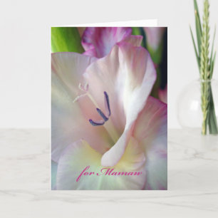 Der Tag der Mutter für Mamaw, Gladiolus-Fotografie Karte