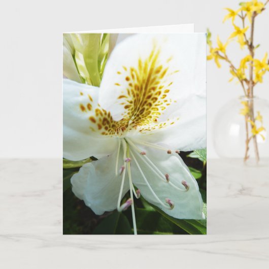 Der Tag der Mutter Rhody Karte (Gelbe Blume)