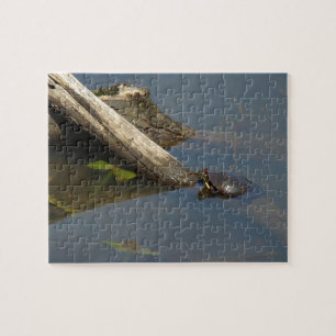 Der Tag der Schildkröte Puzzle