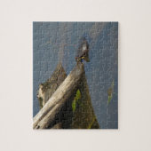 Der Tag der Schildkröte Puzzle (Vertikal)