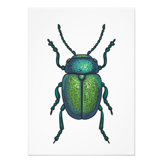 Der Tansienkäfer Fotodruck (Vorne)