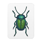 Der Tansienkäfer Magnet (Vertikal)