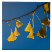 Der Tanz im Fall Fliese (Vorderseite)