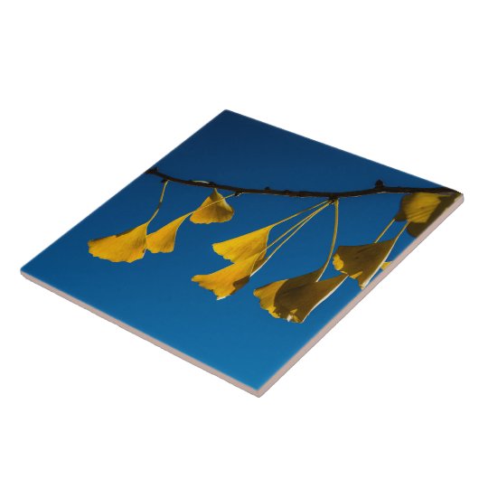 Der Tanz im Fall Fliese (Seite)