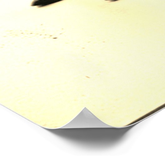 Der Tanz: Motion in Shadows Poster (Ecke)