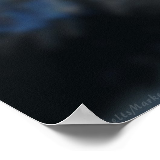 Der Tänzer Poster (Ecke)