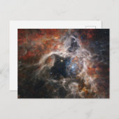 Der Tarantula-Nebel NIRCam | JWST Postkarte (Vorne/Hinten)