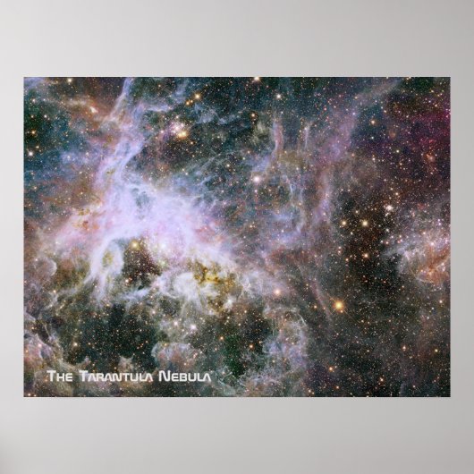 Der Tarantula-Nebel - Rahmen 4 mit Titel Poster (Vorne)