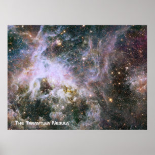 Der tarantula-Nebelfleck - Spant 4 mit Titel Poster