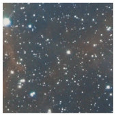 Der tarantula-Nebelfleck Stoff (Nahaufnahme)