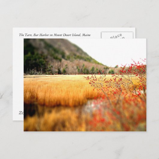 Der Tarn Postkarte (Vorne/Hinten)