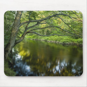 Der Taunton River in Bridgewater, 2 Mousepad