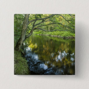 Der Taunton River in Bridgewater, Button