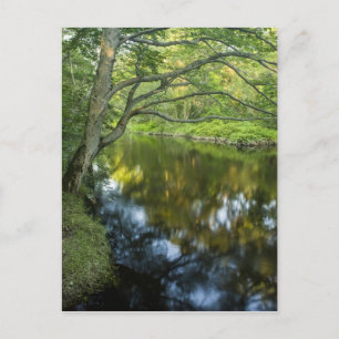 Der Taunton River in Bridgewater, Postkarte