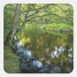 Der Taunton River in Bridgewater, Quadratischer Aufkleber