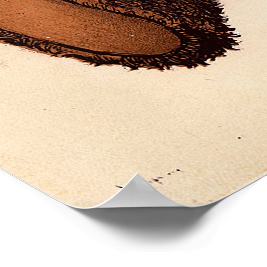 Der Teddybär Poster (Ecke)