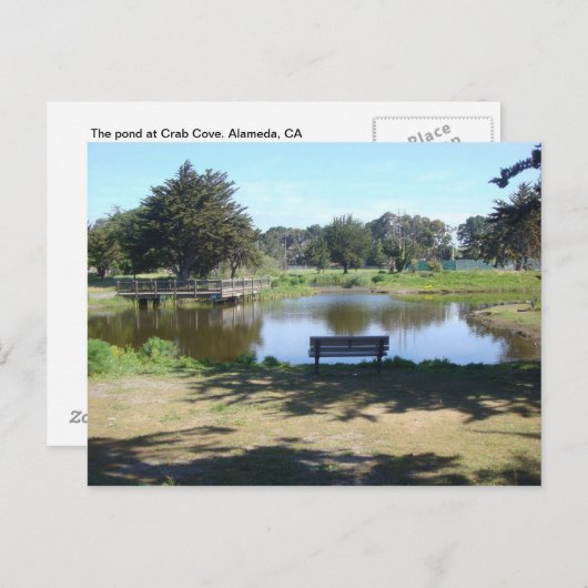 Der Teich in der Crab Cove Postkarte (Vorne/Hinten)