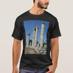 Der Tempel der Aphroditen Ruinen von Aphrodisias T T-Shirt