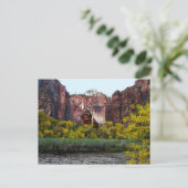 Der Tempel von Sinawava, Zion, Utah, Postcard Postkarte (Stehend Vorderseite)