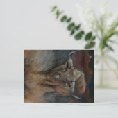 Der Texas Longhorn Bull Postkarte (Stehend Vorderseite)