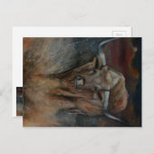 Der Texas Longhorn Bull Postkarte (Vorne/Hinten)