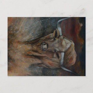 Der Texas Longhorn Bull Postkarte