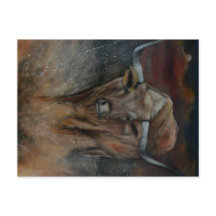 Der Texas Longhorn Bull