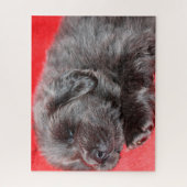 Der tibetische Mastiff Hund Jigsaws. Puzzle (Vertikal)