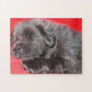 Der tibetische Mastiff Hund Jigsaws. Puzzle