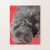 Der tibetische Mastiff Hund Jigsaws. Puzzle (Vertikal)