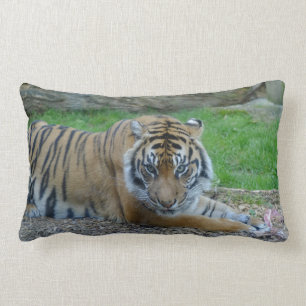Der Tiger des Vaters Lendenkissen