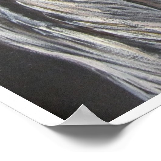 Der Tiger Poster (Ecke)