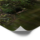 Der Tiverton-Kanal, Devon, England Poster (Ecke)