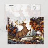 Der Todesstoß Postkarte (Vorne/Hinten)