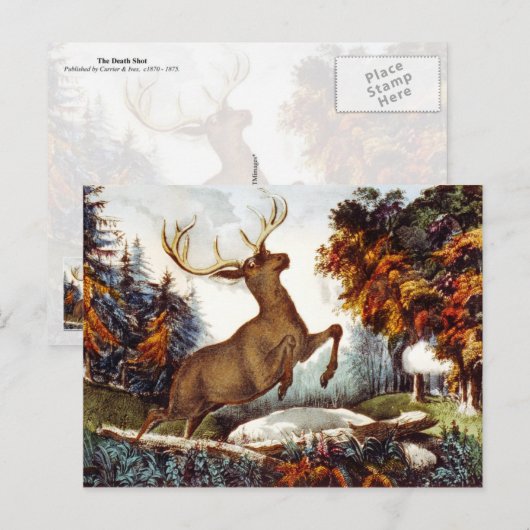 Der Todesstoß Postkarte (Vorne/Hinten)