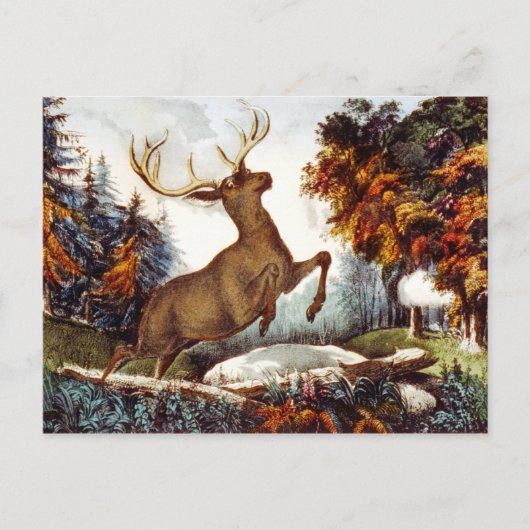 Der Todesstoß Postkarte (Vorderseite)