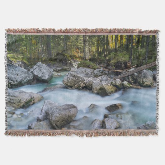 Der Torrent Ramsauer Ache Decke (Vorderseite)
